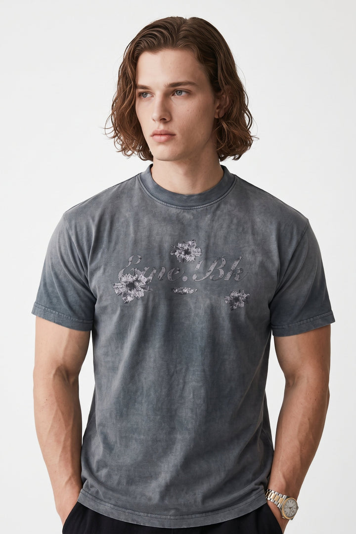 Ombre Graphic T-shirt na2653