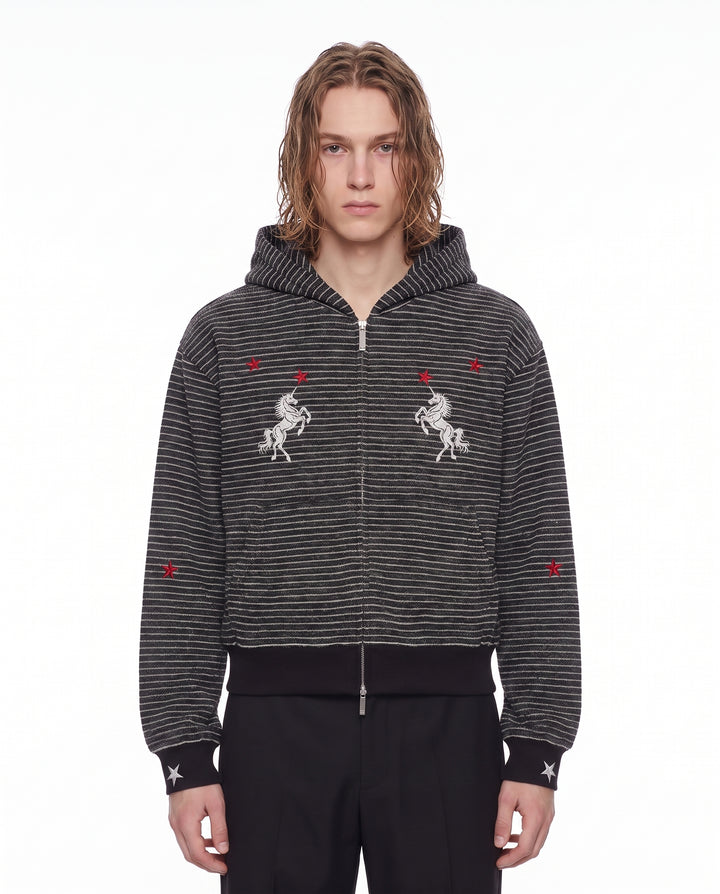 Striped Zip Hoodie na2944