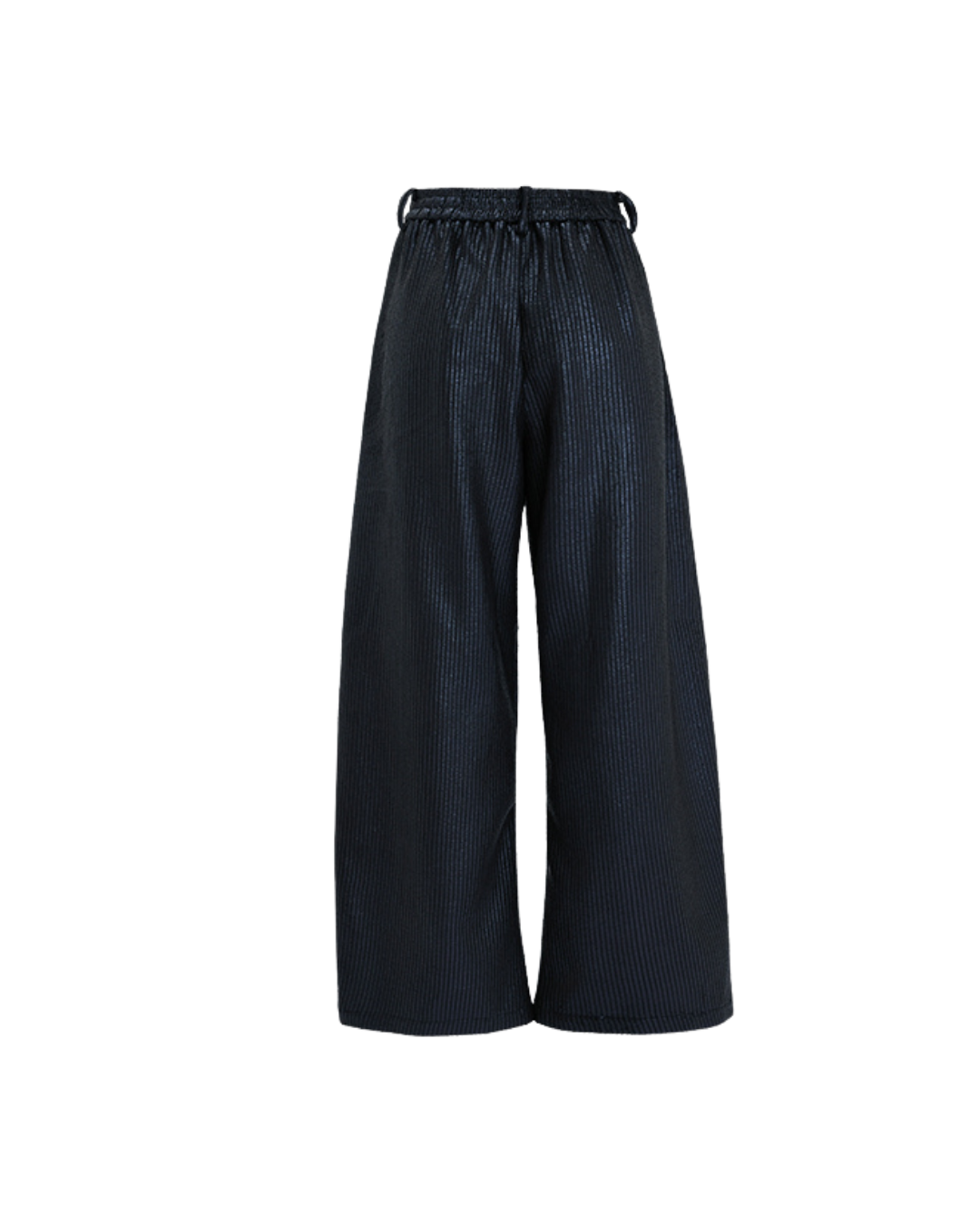 [ArguE CulturE] Shadow Sheen Wide Trousers na2269