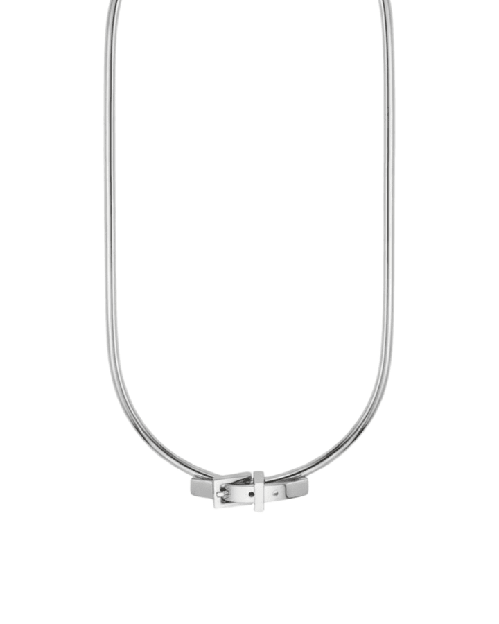 lose snake bone necklace na1291