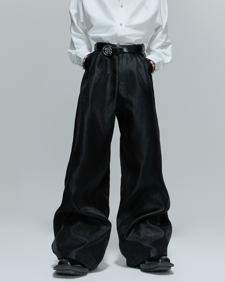 [ArguE CulturE]Luxe Sheen Wide Trousers na2268