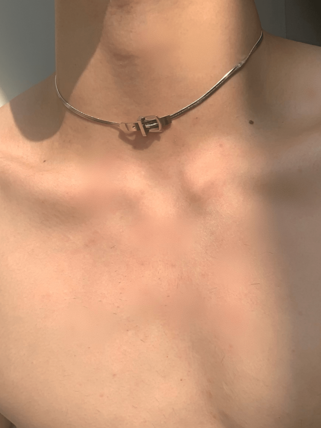 lose snake bone necklace na1291