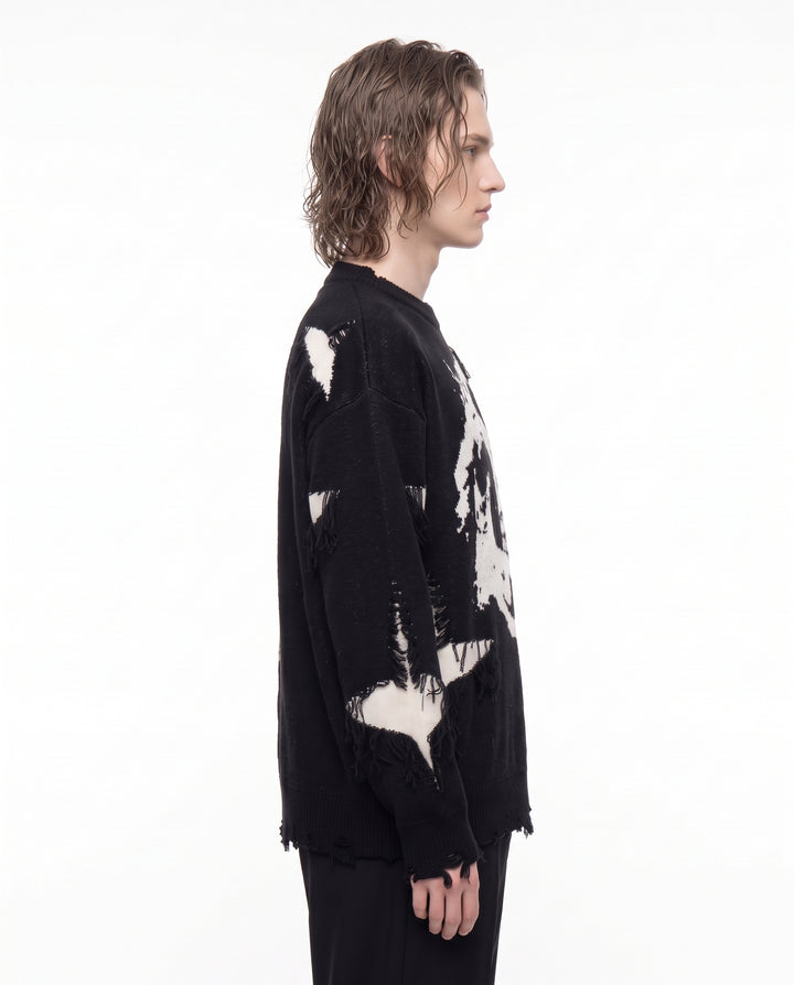 Skull Knit Sweater na3244