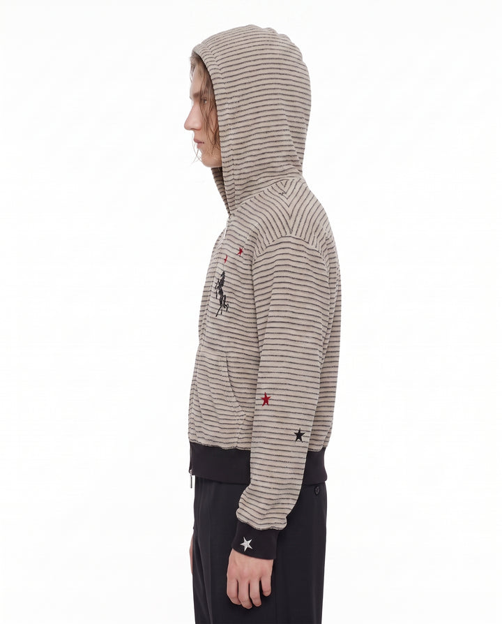 Striped Zip Hoodie na2944