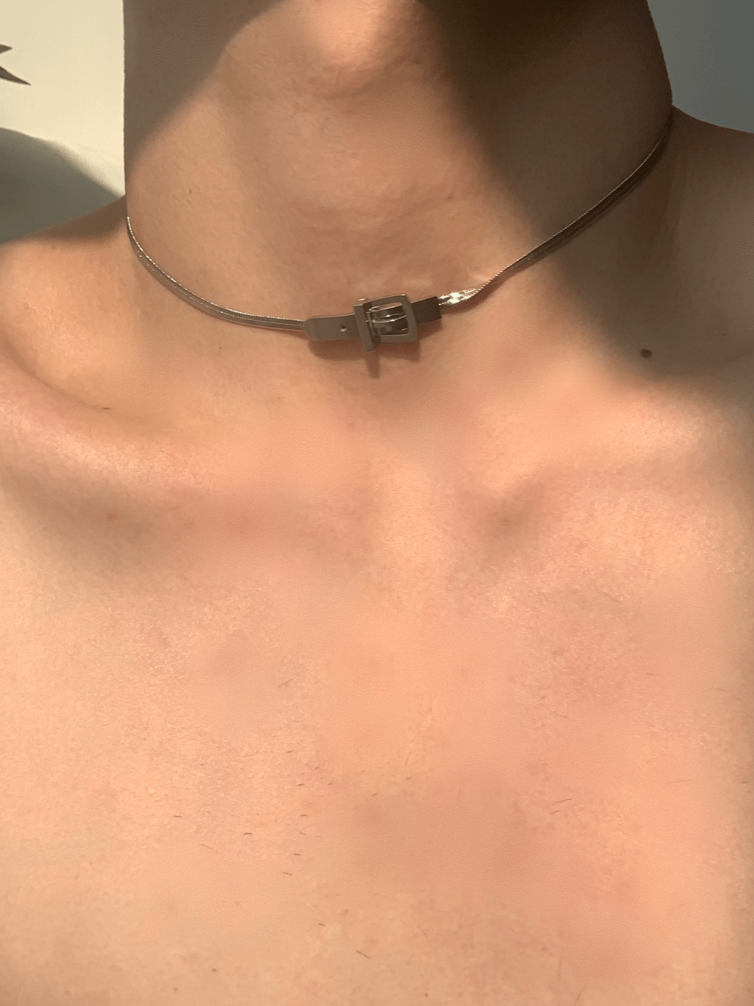 lose snake bone necklace na1291