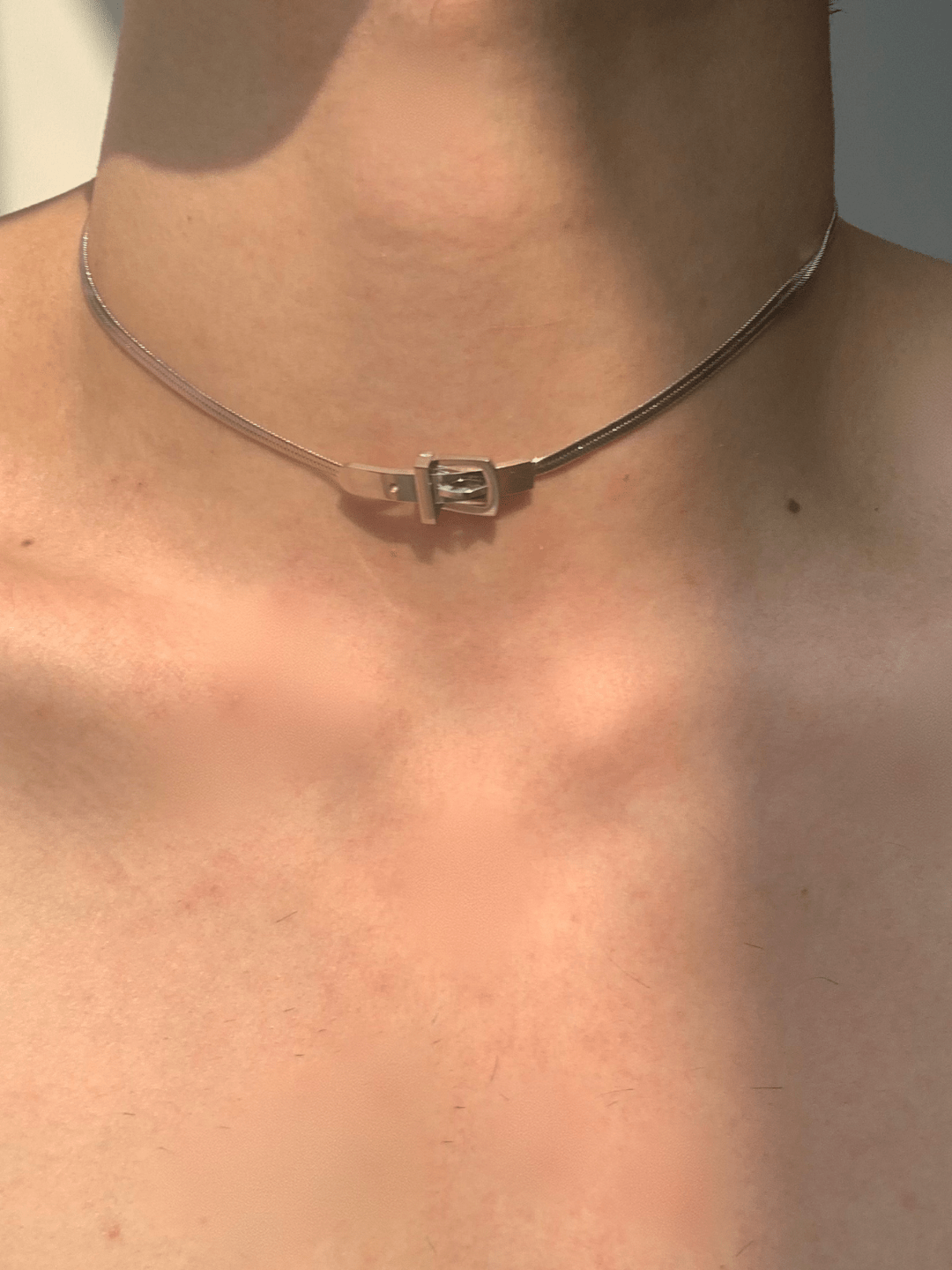 lose snake bone necklace na1291