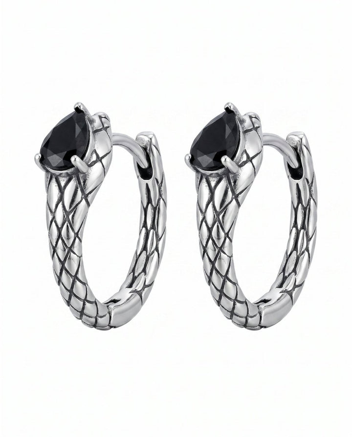 Snake Hoop Earrings na2903