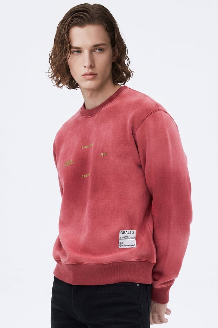 Washed Sweatshirt na2586