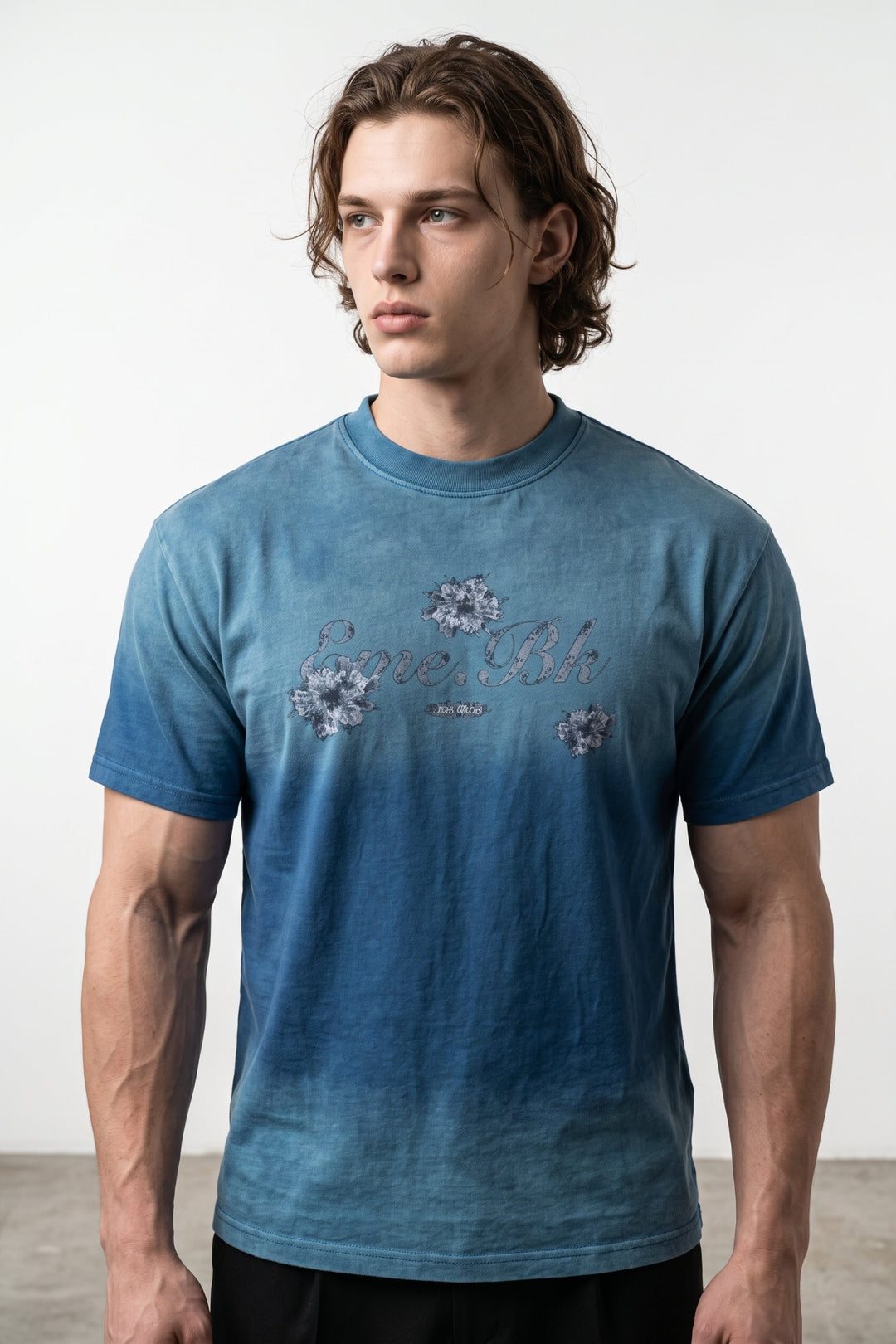 Ombre Graphic T-shirt na2653