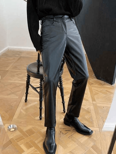 [Mr.city] Slim Leather Pants na29